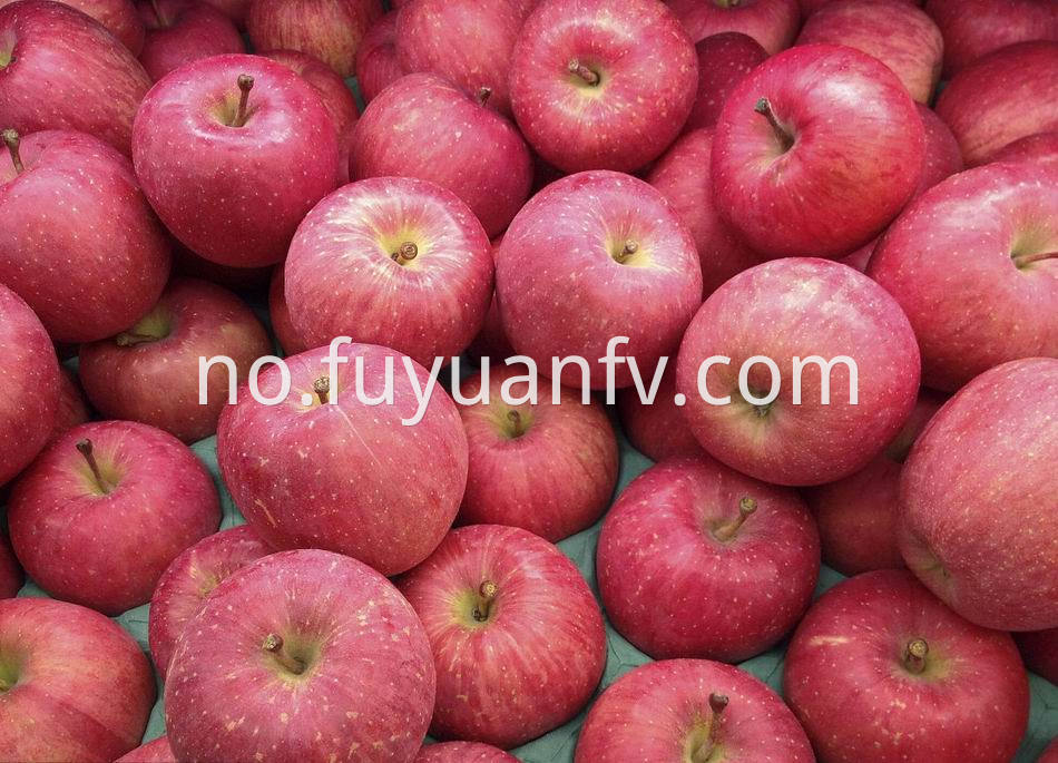 Fuji Apple 25